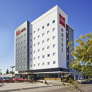 Ibis Los Mochis